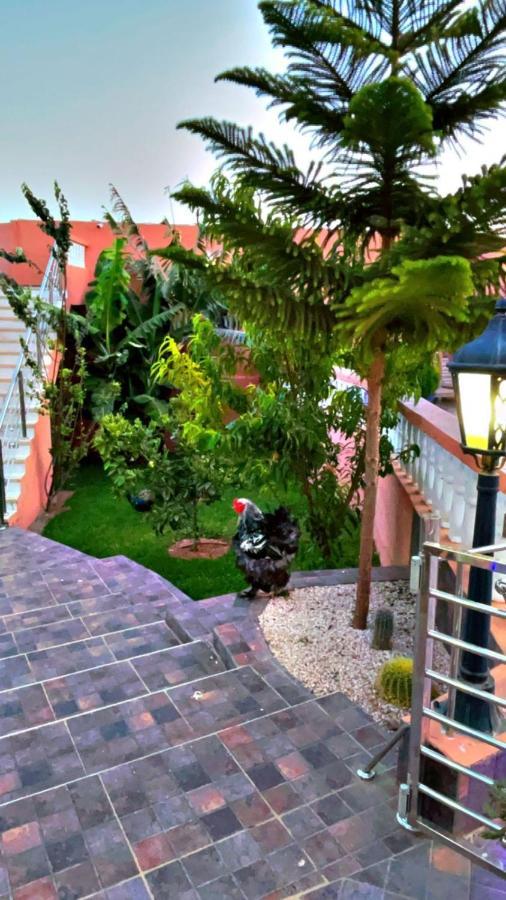 מלון אגאדיר Riad Dar Salam מראה חיצוני תמונה